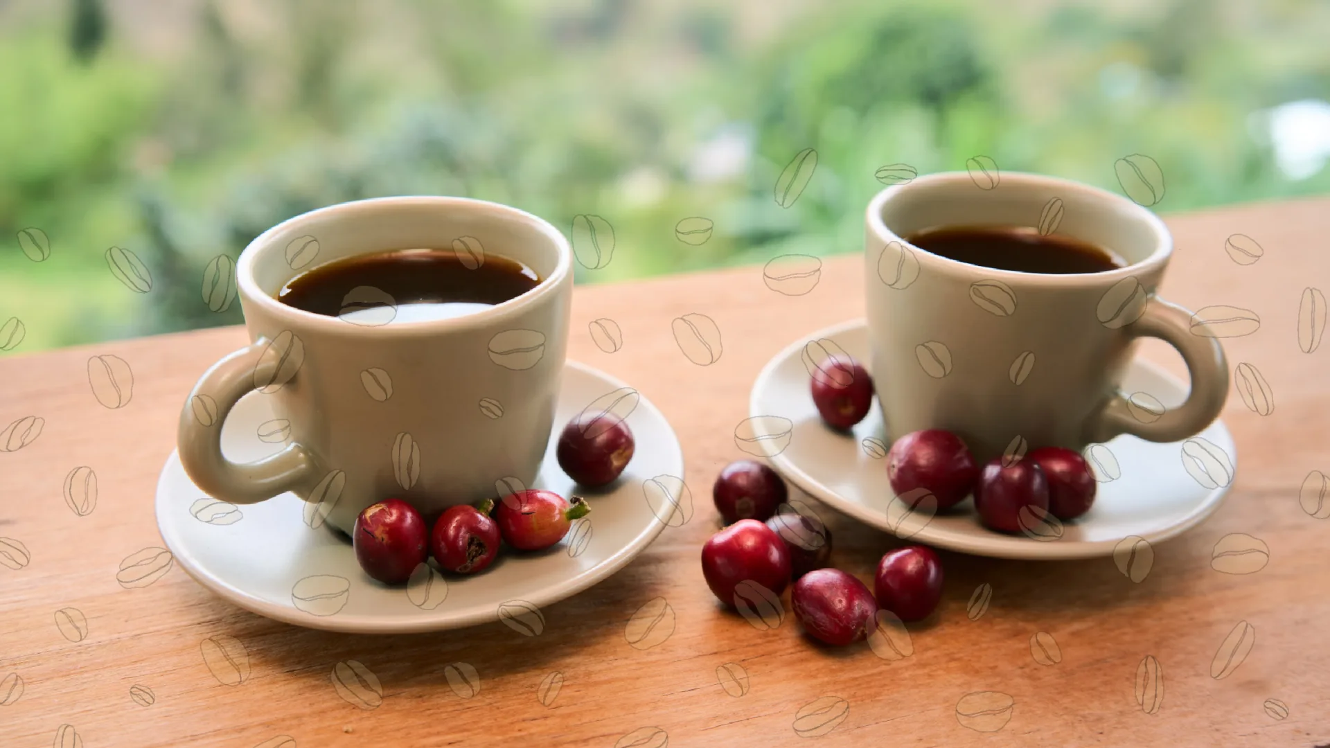 Tazas de café de especialidad Café Moregria con cerezas de café cultivado en Pradera, Valle del Cauca