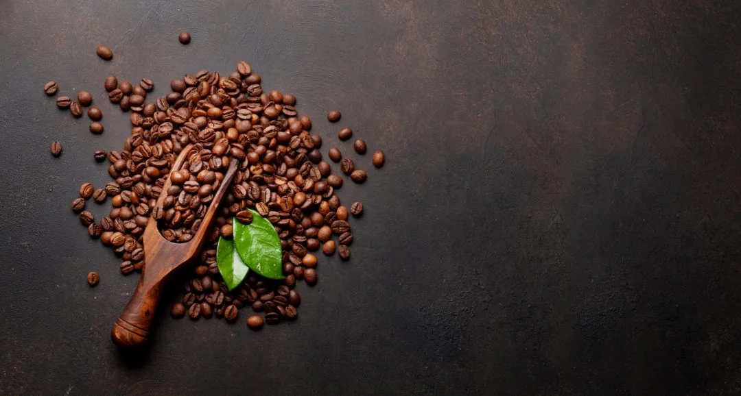 Granos de café tostado de alta calidad para café en grano y molido